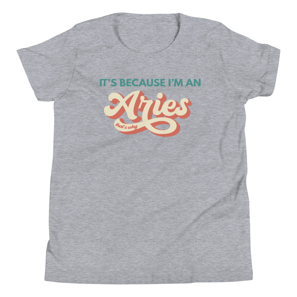 It's Because I'm an Aries - Youth Tee