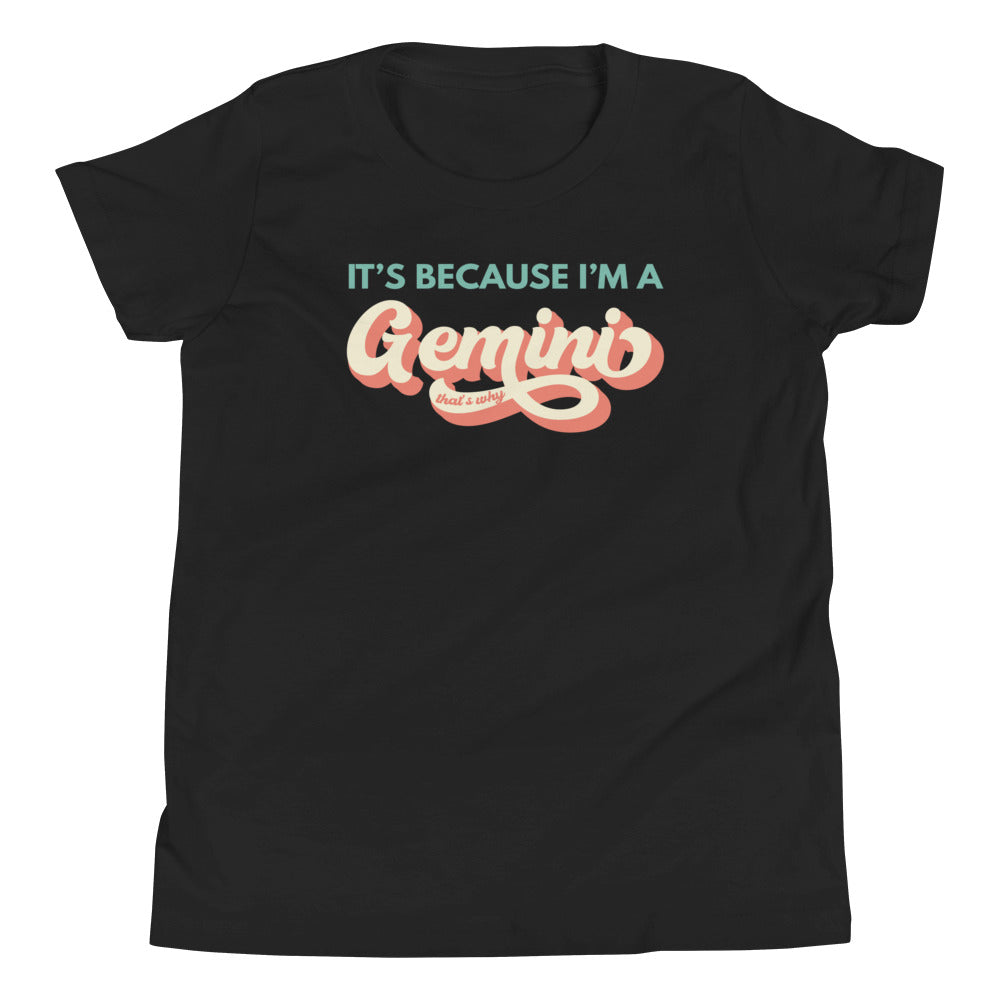 It's Because I'm a Gemini - Youth Tee