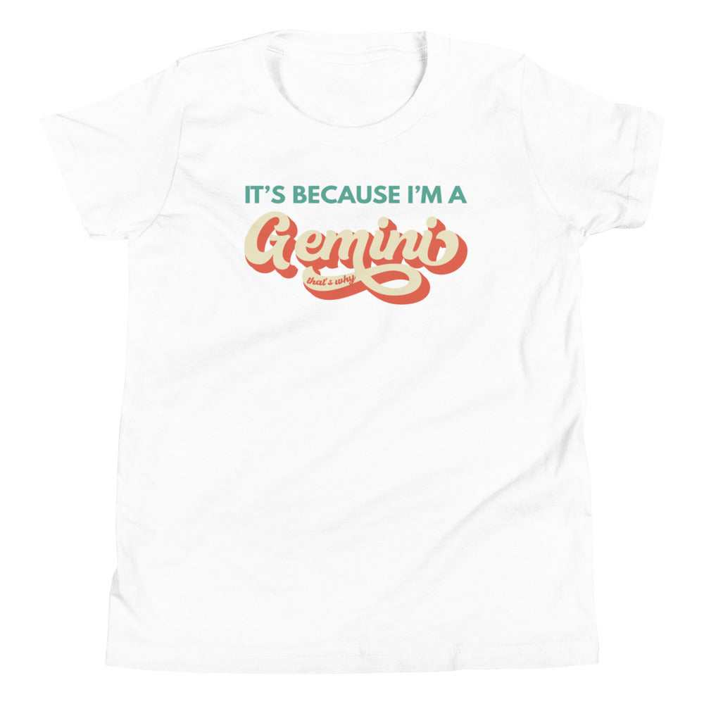 It's Because I'm a Gemini - Youth Tee